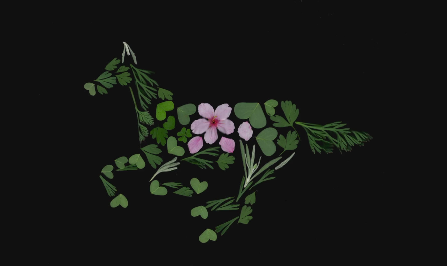 galloping horse made of plants