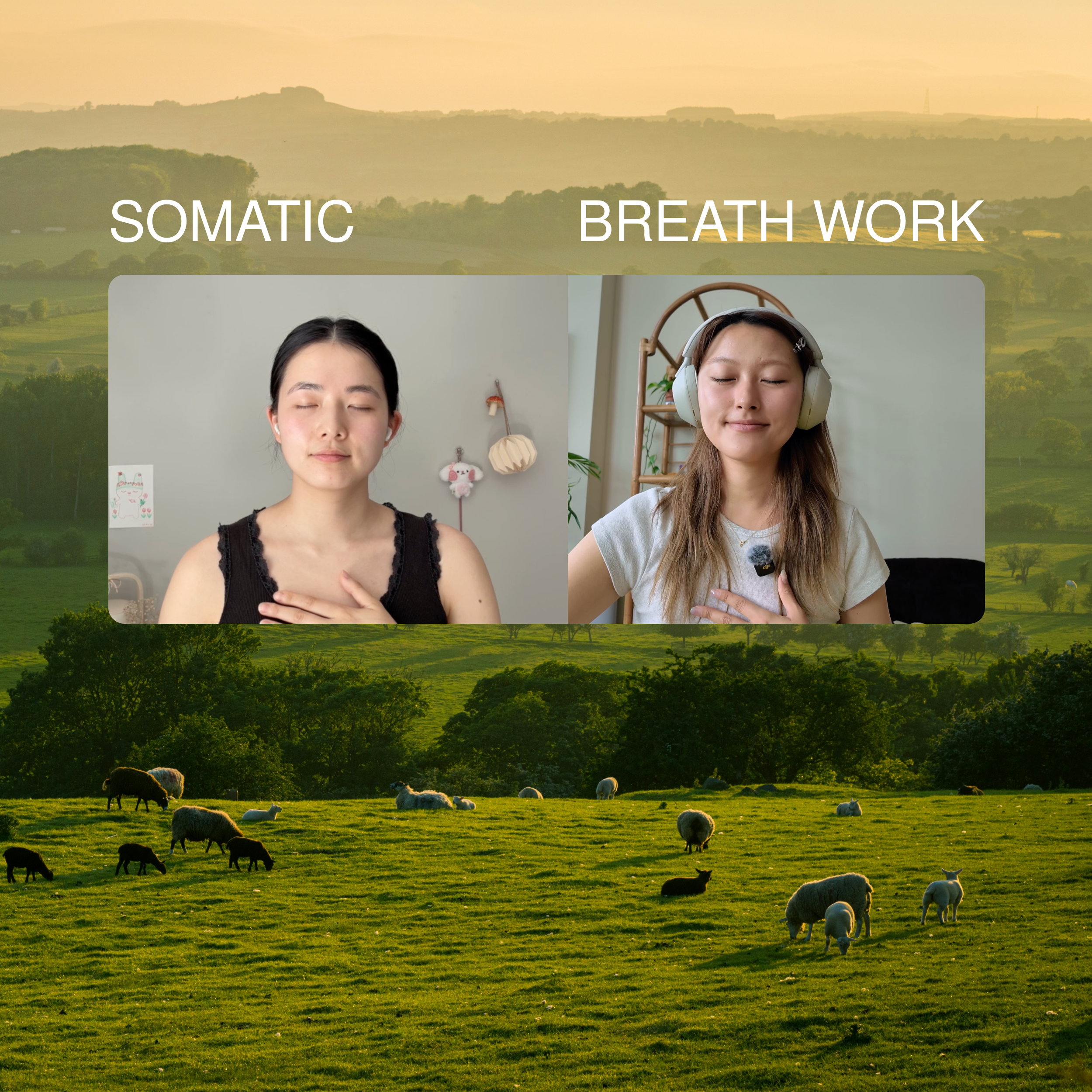 8-Week Art Therapy Workshop: Rooted in Ease